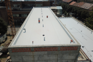 DCIM100MEDIADJI_0957.JPG